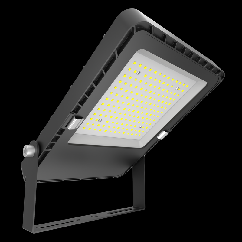 LED Flood Light FL06